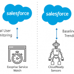 Real User Monitoring And Synthetic For Salesforce