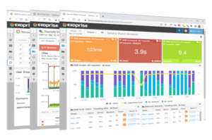 Instant network benchmarks and visibility