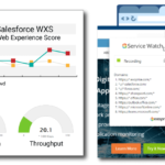 Web Experience Scoring