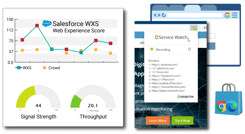 Web Experience Scoring