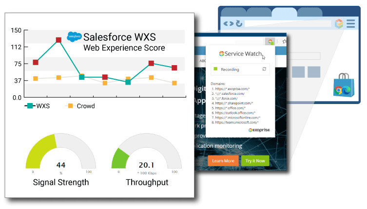 Web Experience Monitoring